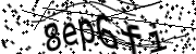 Anti-Bot verification code image